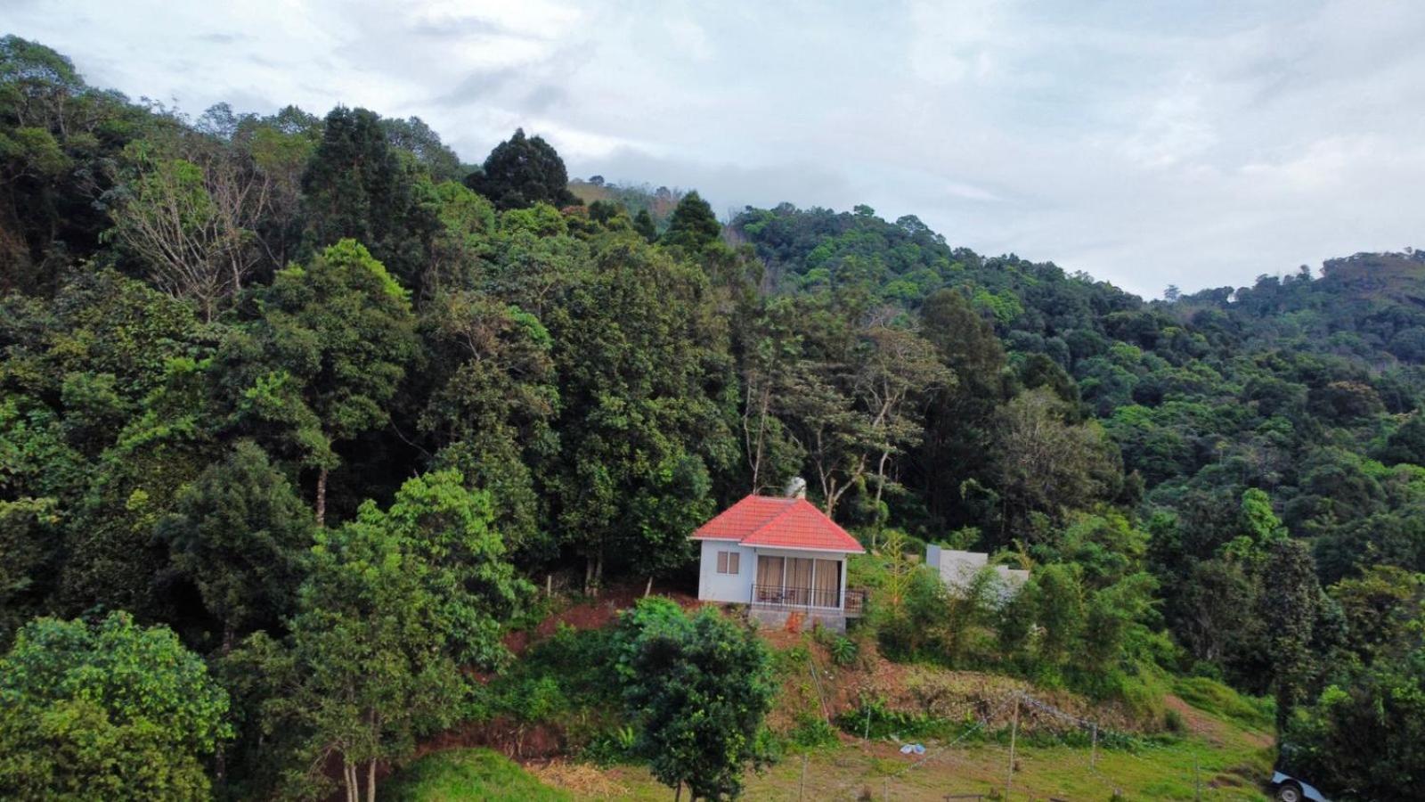 Misty Hideout Bed and Breakfast Kakkadampoyil Esterno foto